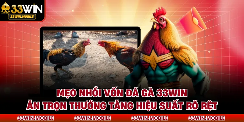 Mẹo nhồi vốn đá gà 33WIN ăn trọn thưởng tăng hiệu suất rõ rệt